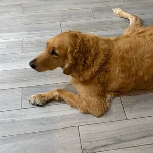 Meet your Posher, Teri